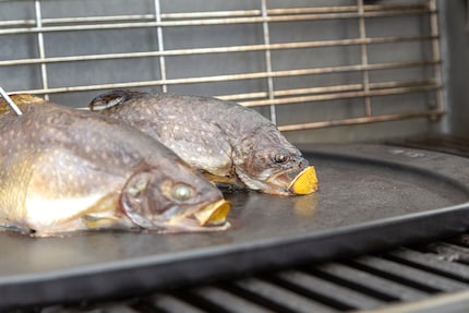 In deze positie blijft de vis niet vastzitten op de grill.