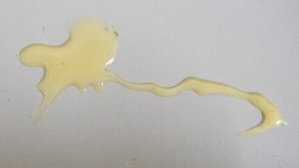 Die Gegenprobe: Auch Pattex ist voller aggressiver Substanzen, aber milchiger.