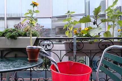 When it’s raining – like now – the system is rather unnecessary, but if the sun eventually comes out, it’s even more important.