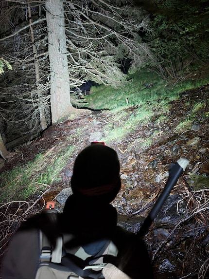 Bis zu 900 Lumen erhellen den Wald.