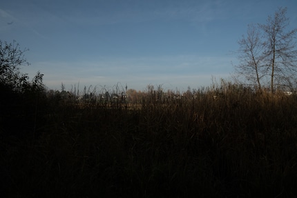 Lossless compressed