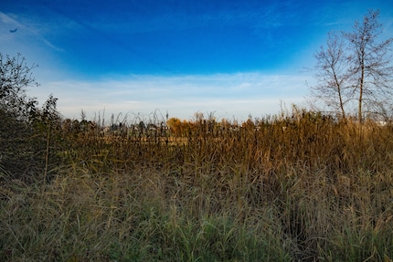 Lossless compressed, heavily edited