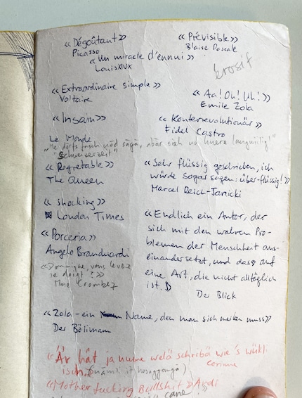Hässlich, aber erinnerungswürdig: selbstgeschriebener Klappentext zu Émile Zolas «Thérèse Raquin», das wir im Französischunterricht lesen mussten.