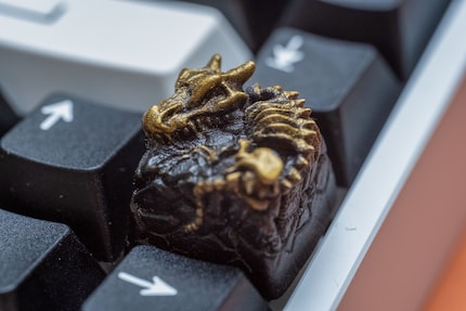 This dragon skeleton is always watching me type.