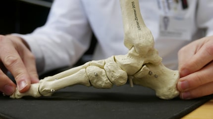 Des orteils à l'os du talon : le pied humain est complexe.