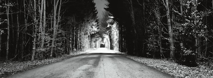 Waldweg in XPan