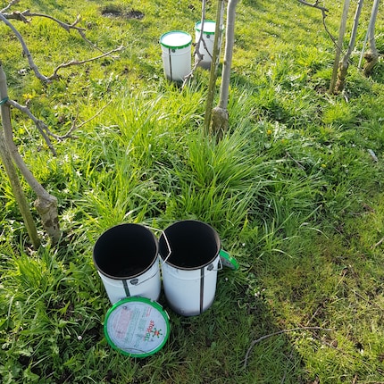 So präsentiert sich am Morgen der Anblick. Die bereits früher gebrauchten Kerzen sind ausgebrannt, die neuen Kerzen vorzeitig ausgelöscht worden.