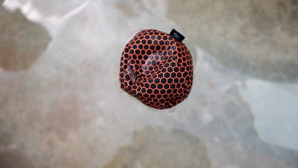 Falls mal ein Ball in den Brunnen fliegt: Schwimmen kann er auch.
