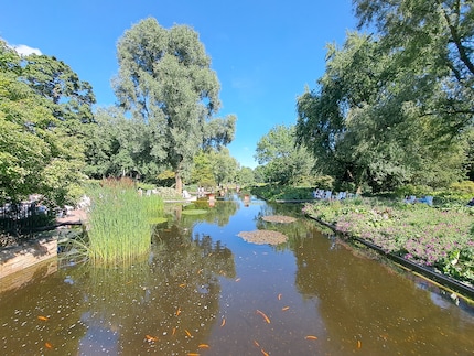 Weitwinkel, Galaxy A53