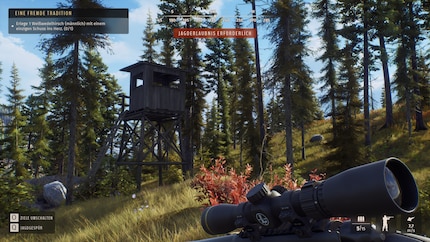 These elevated cabins allow you to easily explore the area.