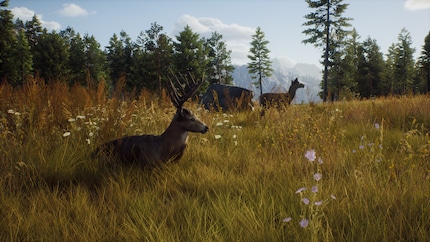 Sitting or standing, I just can’t hit the animals any other way.
