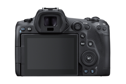 For comparison: the back of the Canon EOS R5