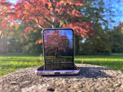 Das Samsung Galaxy Z Flip 4 hat auf vielen Oberflächen Platz.
