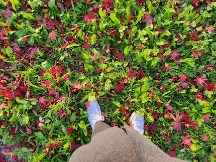 The Samsung Galaxy Z Flip 4 takes beautiful photos