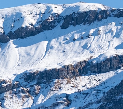 Un zoom de la photo ci-dessus
