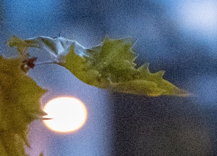 12800 ISO, section
