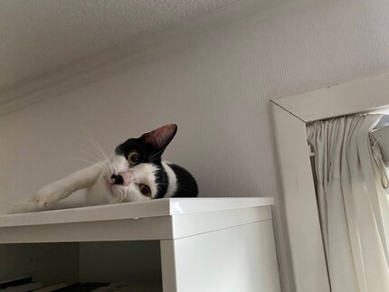 Dieses Foto wäre nicht entstanden, hätte ich mich an meine Vorsätze gehalten. Aber wäre das so schlimm?