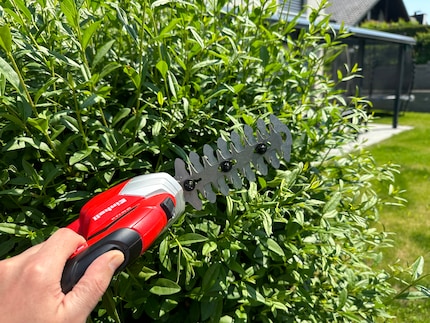 Dear Einhell, een struik snoeien. Ja, dat kan ook.