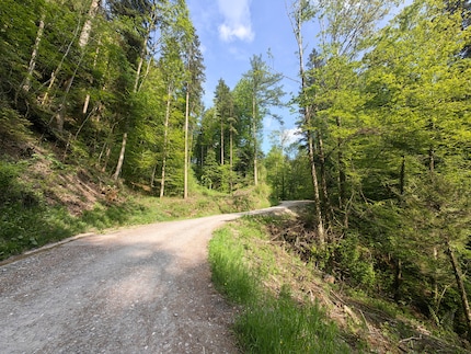 The wide-angle lens strongly distorts the subject.