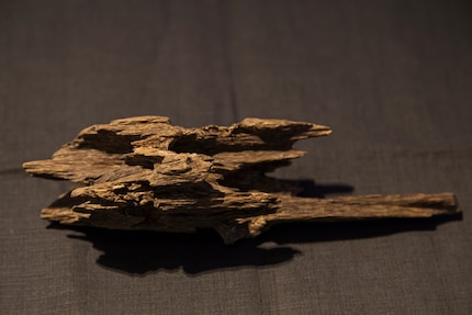 Het hout van de aquilaria boom, ook bekend als adelaarshout of agarhout.