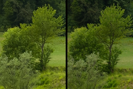With its higher resolution, the Sony Alpha 7RV (right) shows finer details than the Xperia (left).