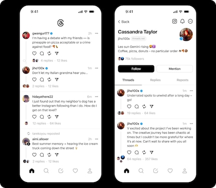 The feed looks very similar to the Twitter interface.