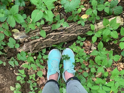 J’arrive dans un autre monde. La forêt m’accueille dans son atmosphère magique.