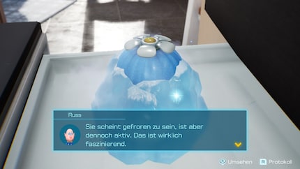 Gevonden! Met de ijsui kan ik nu ook ijs-Pikmin kweken.
