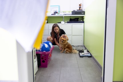 Receptioniste Deborah Thillen en haar hond Missy heten ons welkom in het 5-sterren dierenhotel.