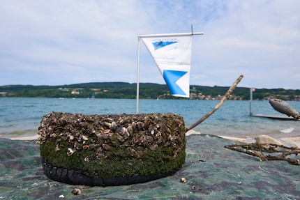 Een autoband gedumpt in het Bodenmeer en nu opgevist.