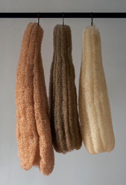 The dried luffa fruit absorbs liquids and also retains colour.