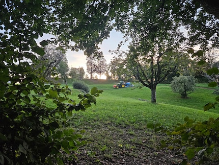 In der Abenddämmerung entstehen immer noch tolle Fotos.
