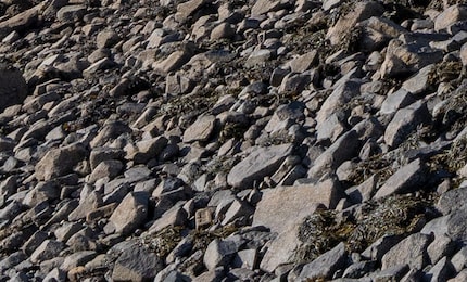 Part of the centre of the photo.