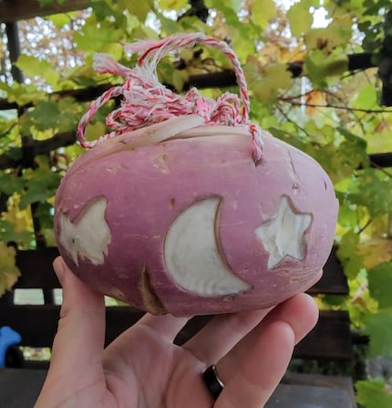 Not even that nice, says the boss to my turnip. Does what it's supposed to, I say.