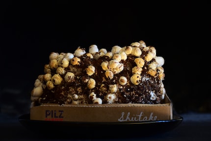 Ringsherum gucken Pilzköpfe aus der Erde.