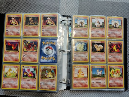 Ganze Ordner füllten die kleinen Sammelkarten mit den Pokémons darauf.