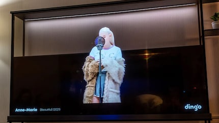 Dank einer zusätzlichen schwarzen Folie kommen bei LGs Signature OLED T halbwegs zufriedenstellende Kontrastwerte zustande.