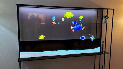 LGs Signature OLED T mit 77-Zoll-Diagonale: Der Hype ist real. Aber was steckt dahinter?