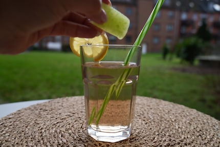 Noch ein kleiner Tipp: Tee-Eiswürfel sind schnell gemacht und können an warmen Tagen das Wasser etwas aufpeppen.