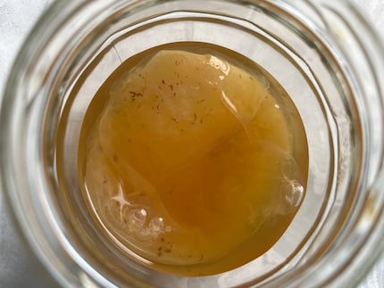 My sister gifted me what would become the start of my brewing career. Meet SCOBY.