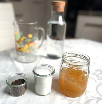 The ingredients for home-brew kombucha: a SCOBY, sugar, tea and water.
