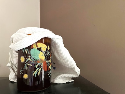 Letting my kombucha ferment at room temperature.