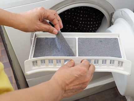 Removing the fluffy carpet in the lint filter is a tactile experience every time.
