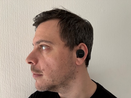 A wide, round badge sticks out of my ear
