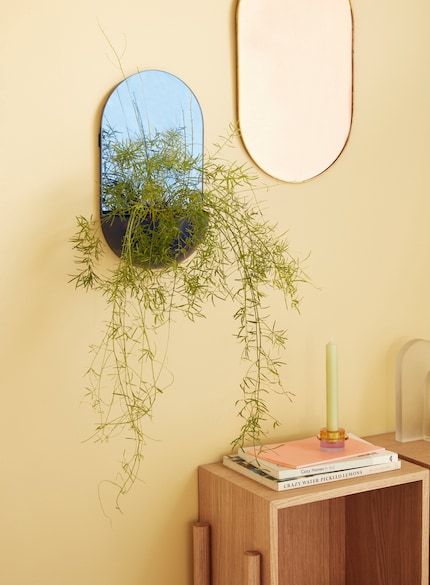  Spieglein , Spieglein an der Wand, welches Wohnaccessoire ist das schönste und schlauste im ganzen Land? «Chico».
