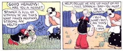 Popeye knew it from the start: It's not the iron content that makes spinach special.
