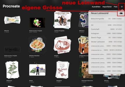 Créez un nouveau canevas en cliquant sur le signe plus. Cliquez à nouveau sur le plus en haut de la liste et vous définissez votre propre canevas.