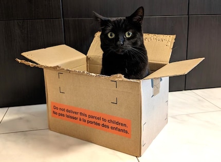 Nero heeft letterlijk gaten in het deksel geslagen.