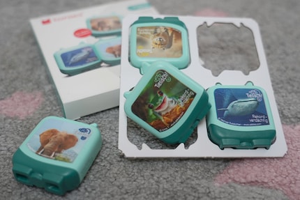 Simply packaged: the four figures are in a cardboard template.