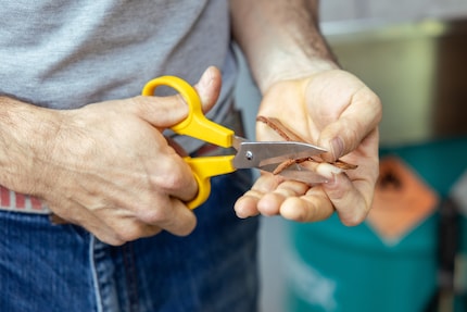 Step 1: cutting to size.
